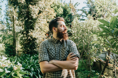 files/man-surrounded-by-tall-green-trees.jpg